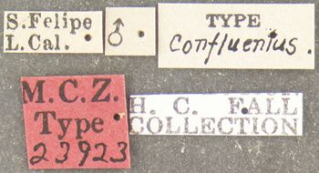 Media type: image;   Entomology 23923 Aspect: labels